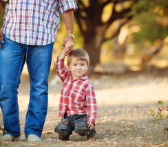 Working with Dads - Customised training solution